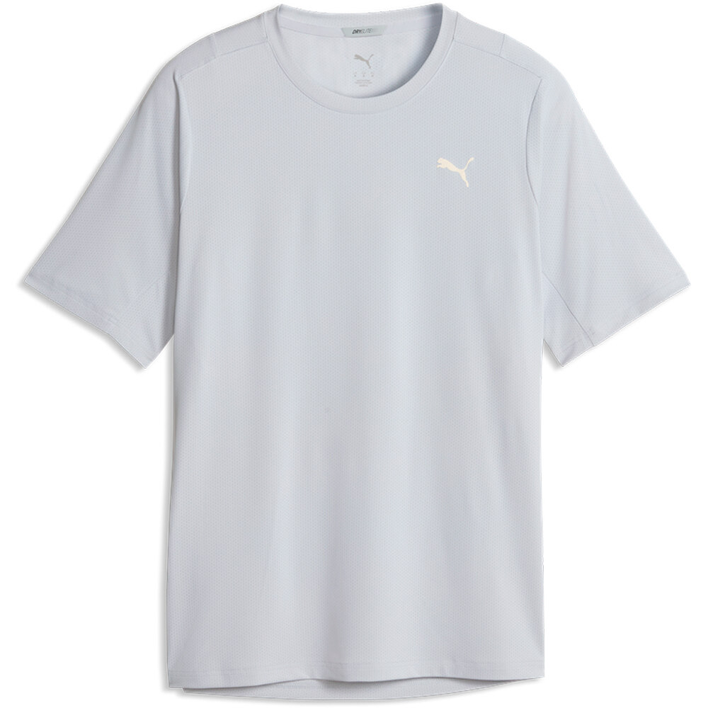 Puma camiseta técnica manga corta hombre M DREAMRUN SS GRIS vista frontal