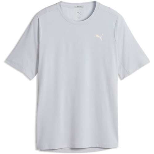 Puma camiseta técnica manga corta hombre M DREAMRUN SS GRIS