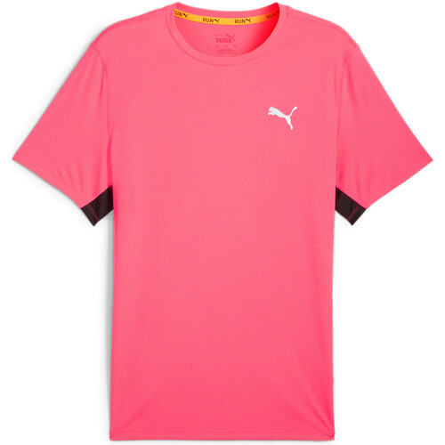 PUMA RUN FAVORITES VELOCITY rosa
