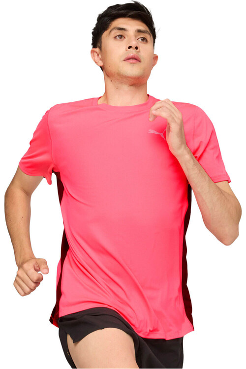 PUMA RUN FAVORITES VELOCITY rosa