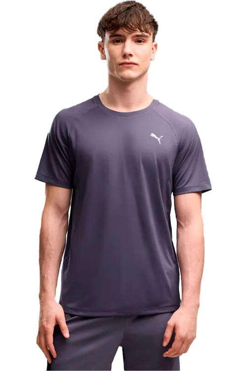 PUMA RUN VELOCITY gris