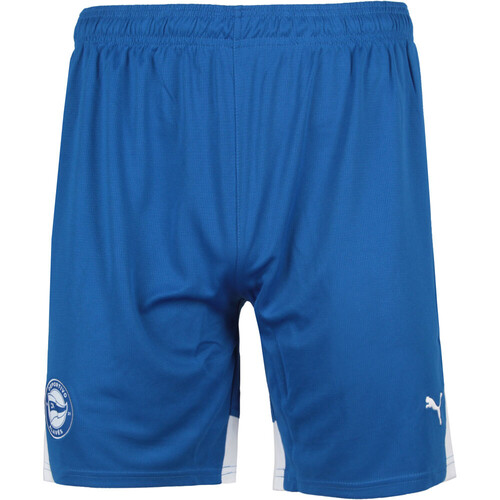 PUMA ALAVES 24/25 PRIMERA EQUIPACION