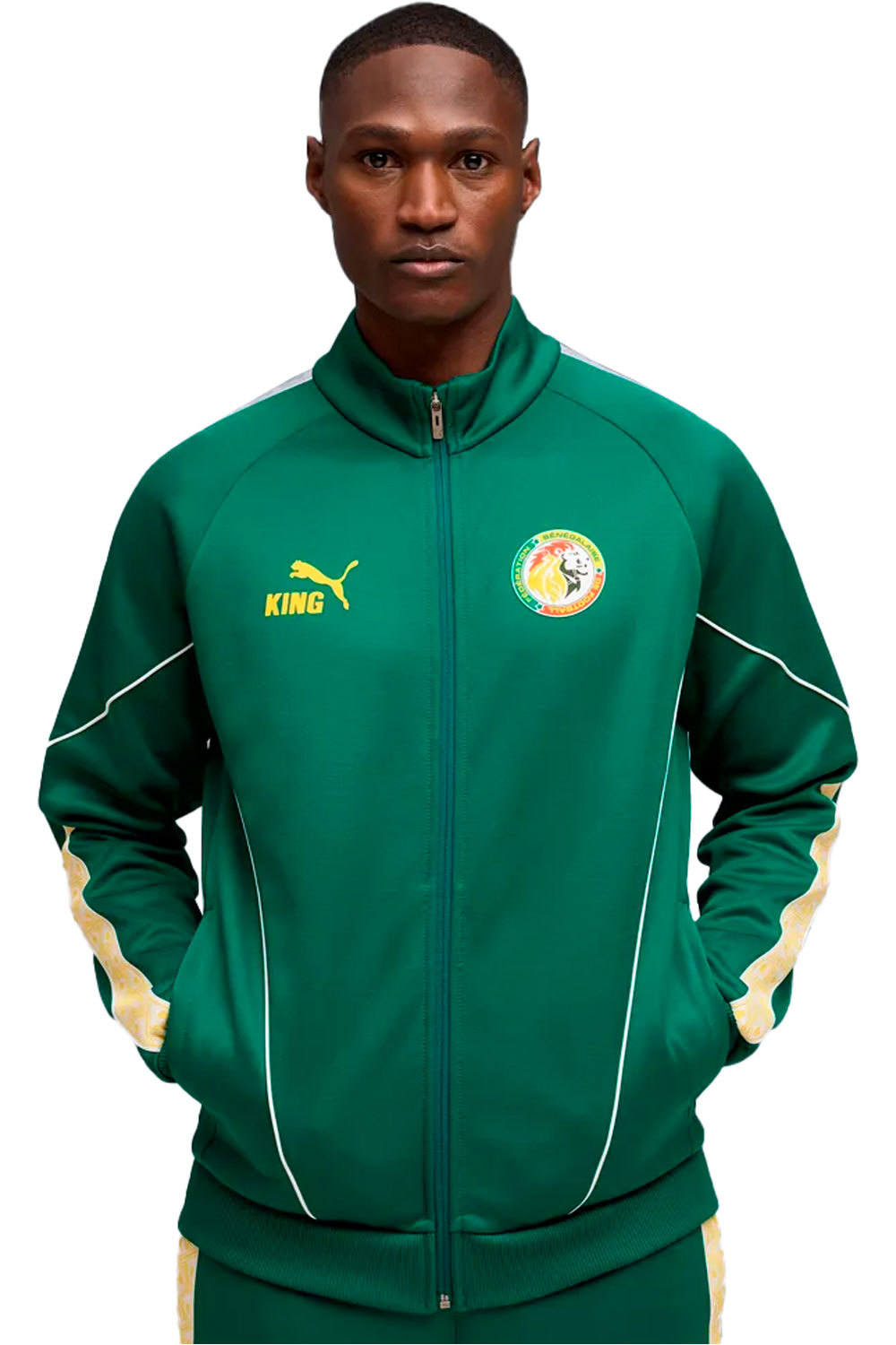 Puma sudadera entrenamiento fútbol FSF KING Anthem Jack VERDE vista frontal