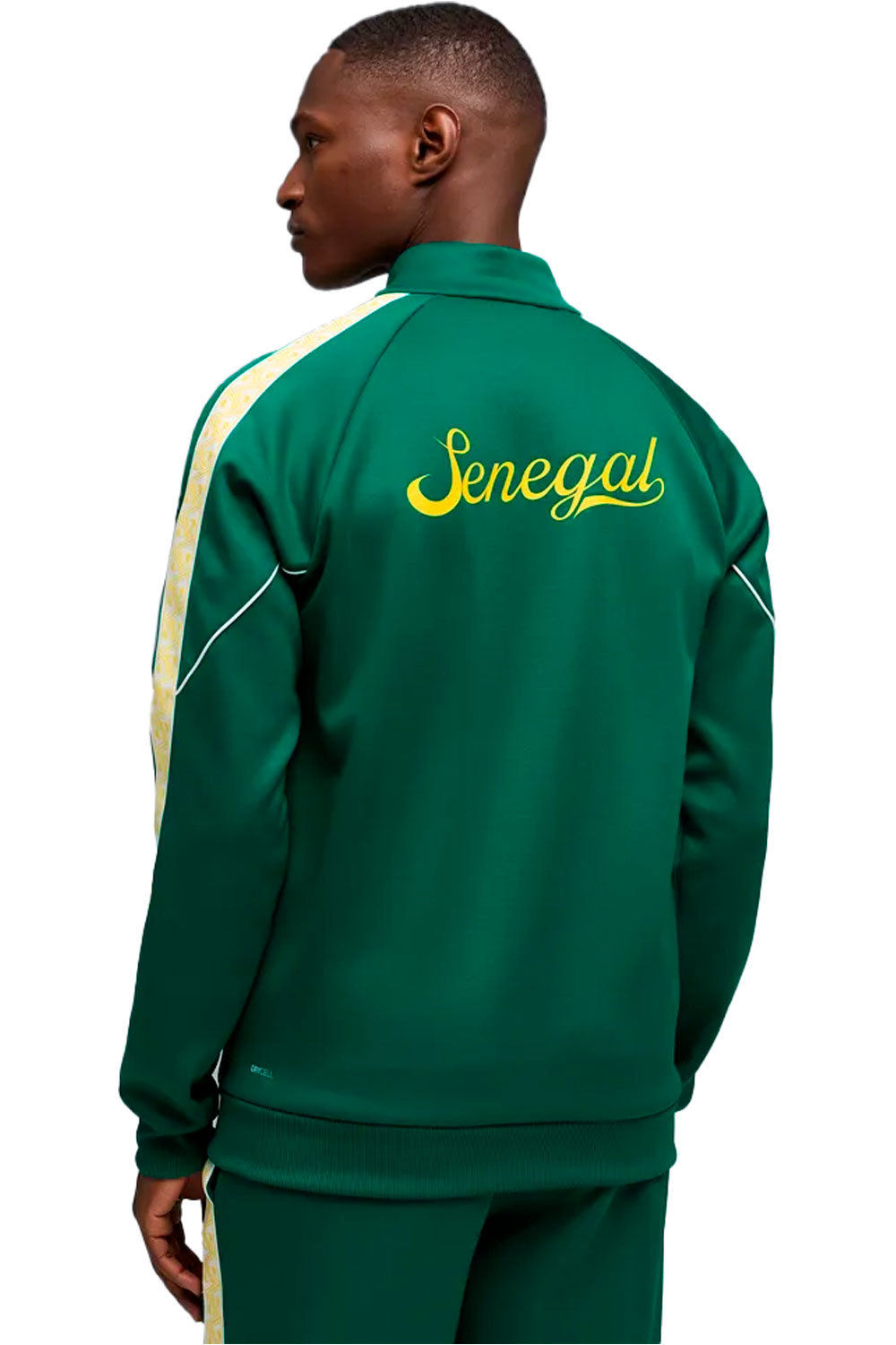 Puma sudadera entrenamiento fútbol FSF KING Anthem Jack VERDE vista trasera