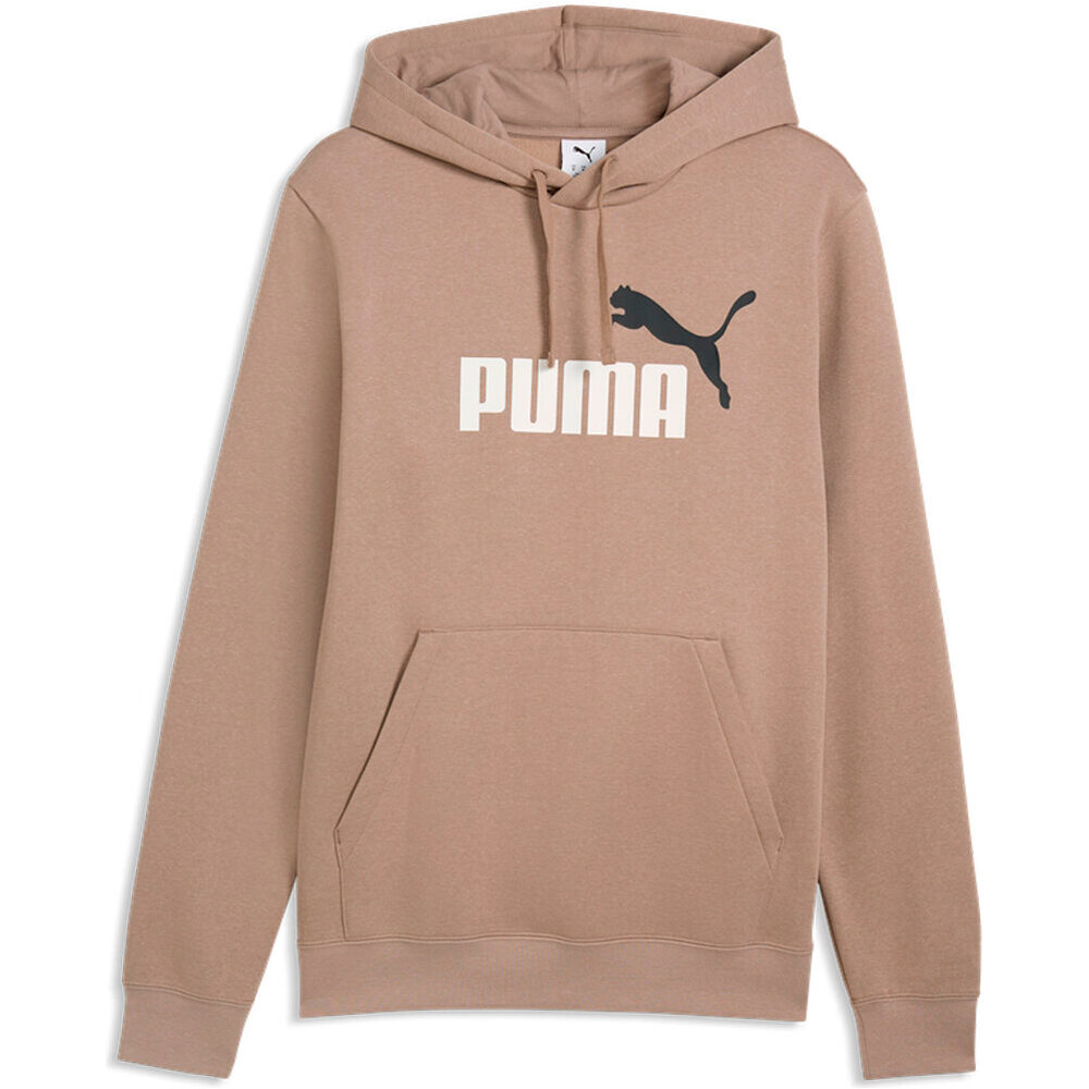 Puma sudadera hombre ESSENTIALS 2 COLOR NO.1 GRIS vista frontal