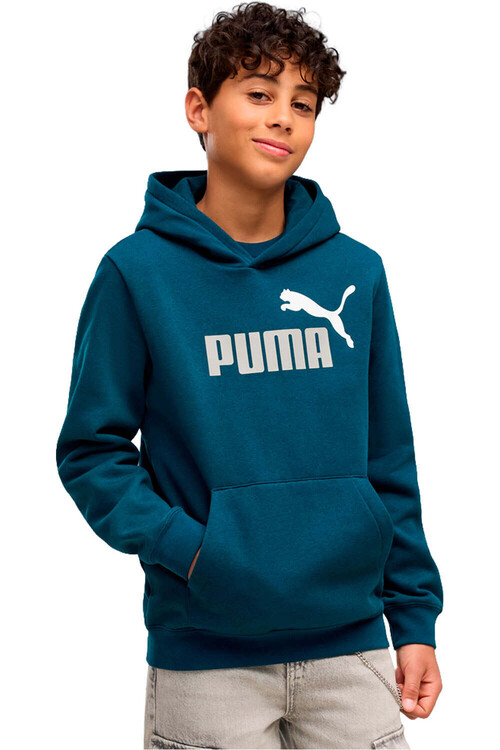 PUMA ESSENTIALS 2 COLOR NO. 1 LO gris