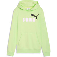 Puma sudadera niño ESSENTIALS 2 COLOR NO.1 LOG VERDE vista frontal