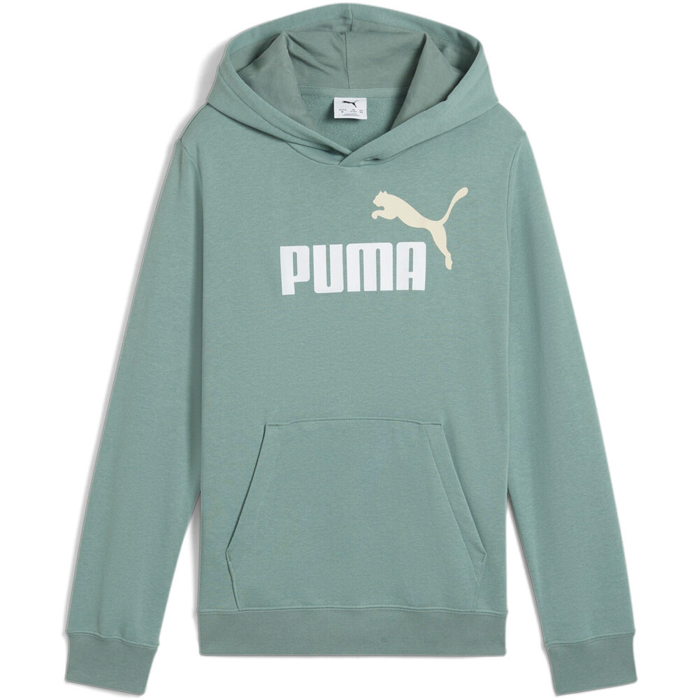 Puma sudadera niño ESSENTIALS 2 COLOR VERDE vista frontal