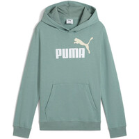 Puma sudadera niño ESSENTIALS 2 COLOR VERDE vista frontal