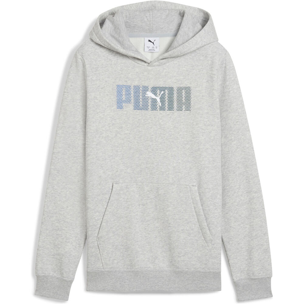 Puma sudadera niño ESSENTIALS LOGO LAB GRIS vista frontal