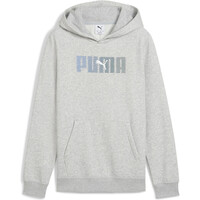 Puma sudadera niño ESSENTIALS LOGO LAB GRIS vista frontal