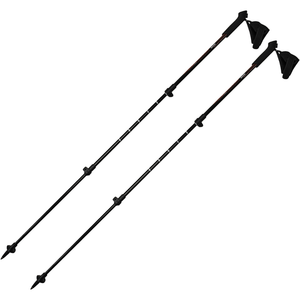 Regatta bastón travesía montaña NORDIC WALK POLE NEGRO vista frontal