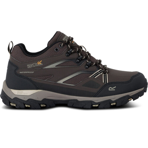 REGATTA HOLCOMBE 3 LOW marron