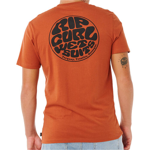 Rip Curl camiseta manga corta hombre WETTIE PASSAGE ICON VERDE