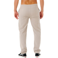 Rip Curl pantalón hombre PREMIUM SURF GRIS vista trasera