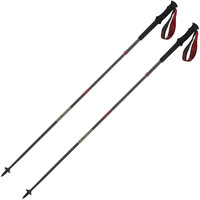Salomon Baston Trail POLES QUEST CARBON FOLDABLE MADDER  vista frontal