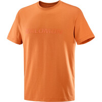 Salomon camiseta montaña manga corta hombre BIG LOGO NARANJA 03