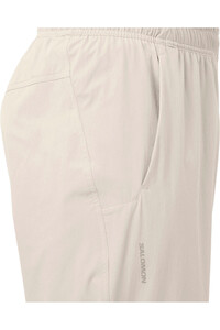 Salomon pantalón montaña hombre WAYFARER EASE 2.0 GRIS 03