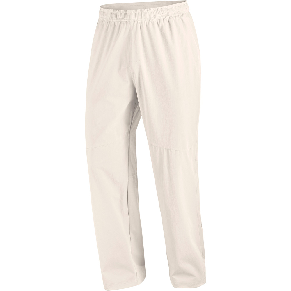 Salomon pantalón montaña hombre WAYFARER EASE 2.0 GRIS 04