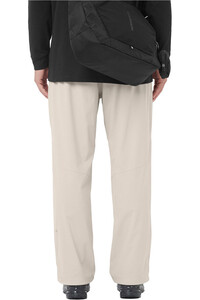 Salomon pantalón montaña hombre WAYFARER EASE 2.0 GRIS vista trasera