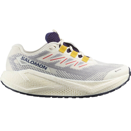 SALOMON AERO BLAZE 3 GRVL GORE-TEX gris