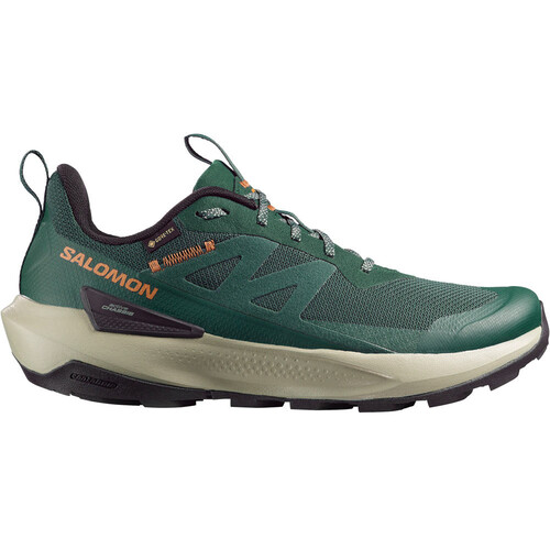 SALOMON ELIXIR ACTIV GORE-TEX verde