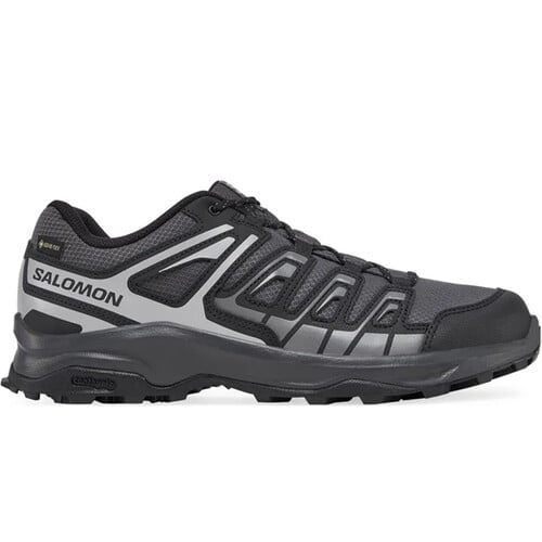 SALOMON EXTEGRA GORE-TEX gris
