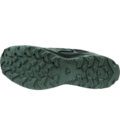 SALOMON EXTEGRA GORE-TEX gris