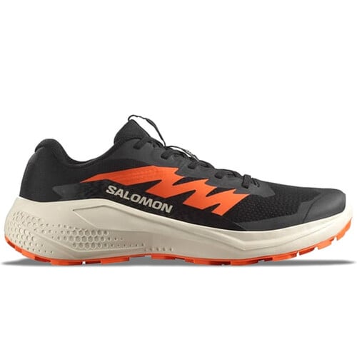 SALOMON ALPHAGLIDE negro