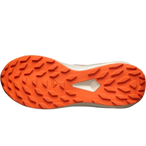 SALOMON ALPHAGLIDE negro