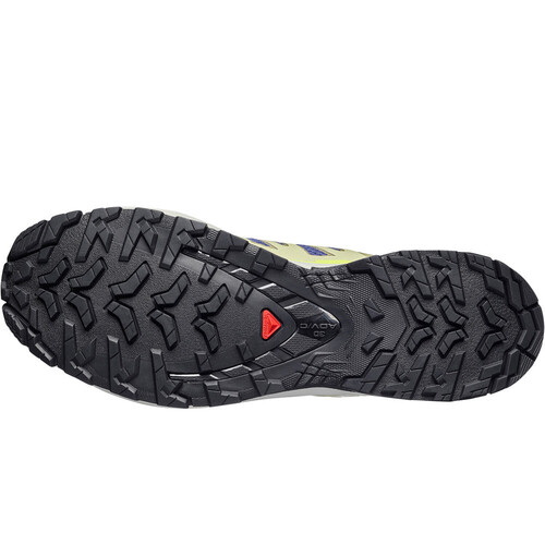 SALOMON XA PRO 3D V9 azul