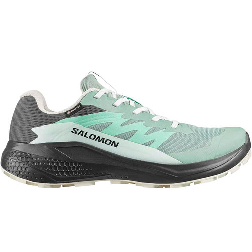 SALOMON ALPHAGLIDE GORE-TEX verde