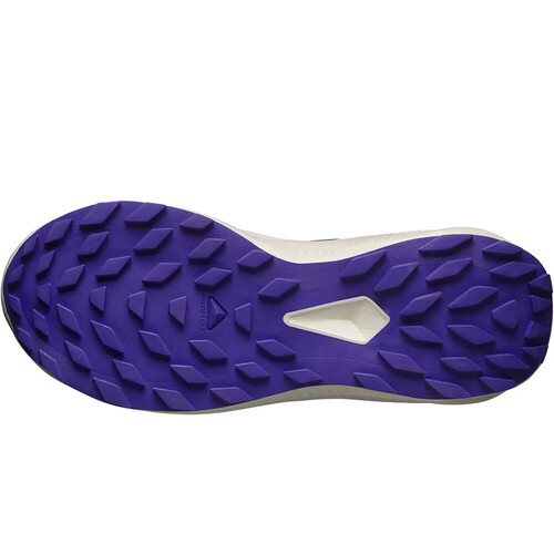 SALOMON ALPHAGLIDE negro