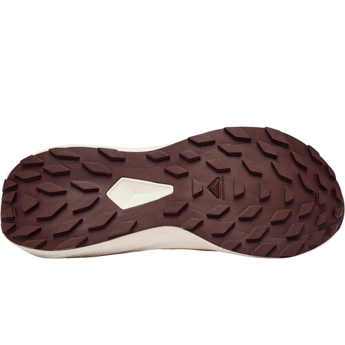 SALOMON ALPHAGLIDE rosa