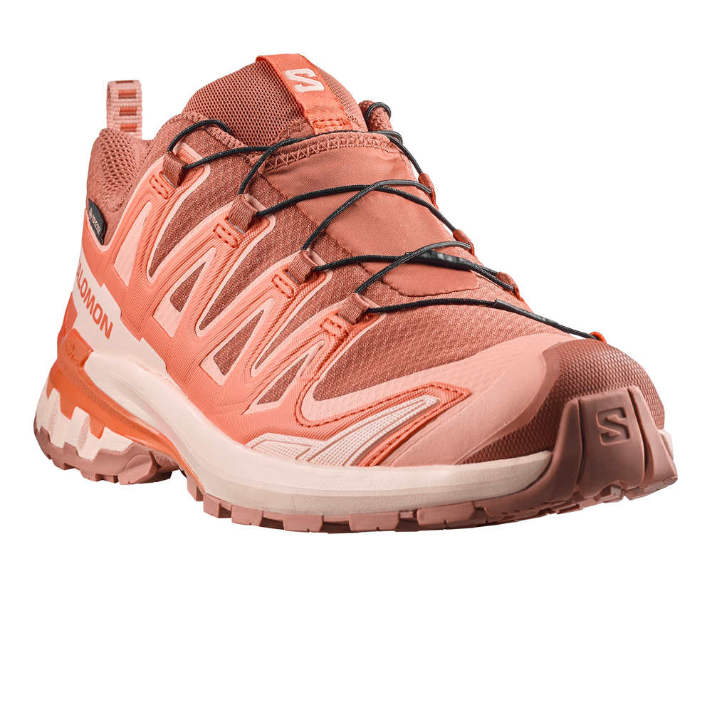 Salomon zapatillas trail mujer XA PRO 3D V9 GORE-TEX MARRON lateral interior