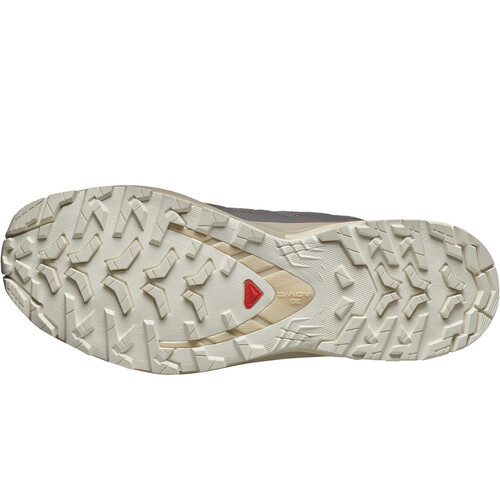 SALOMON XA PRO 3D V9 gris