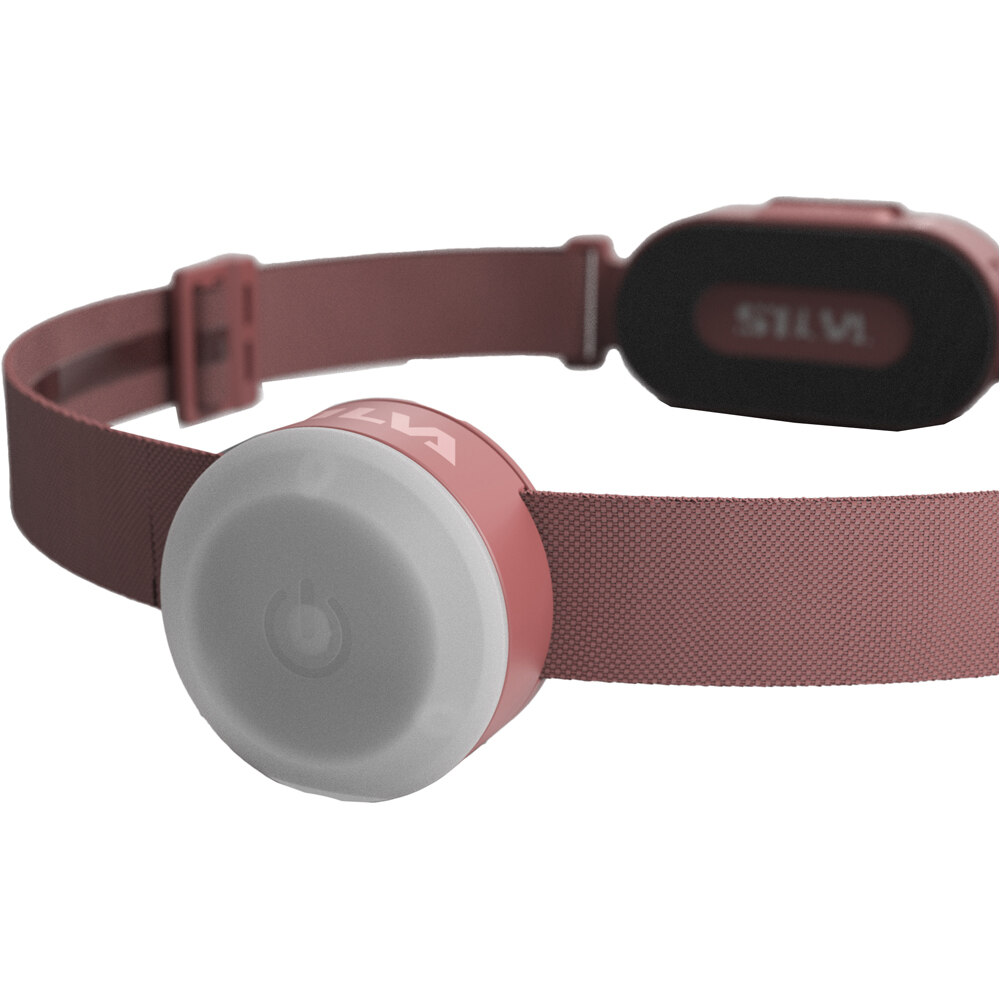 Silva frontal SMINI  02