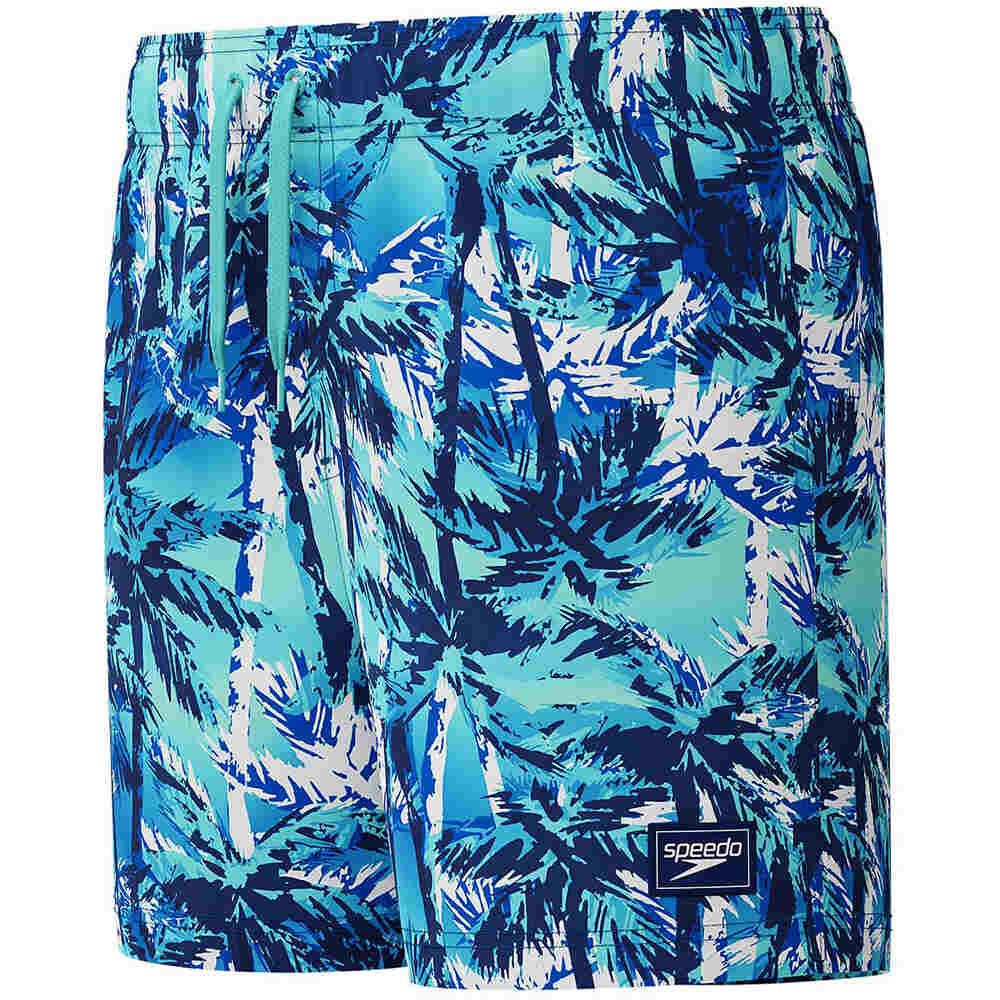 Speedo bañador playa niño BOYS DIGI PRINTED 13 WATERSHORT AZUL 04