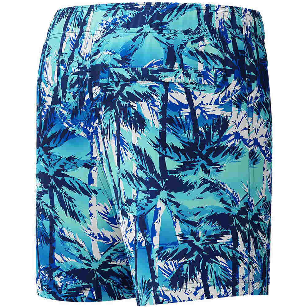 Speedo bañador playa niño BOYS DIGI PRINTED 13 WATERSHORT AZUL vista detalle