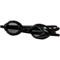 Spyro gafas natación OCTO GRIS vista frontal