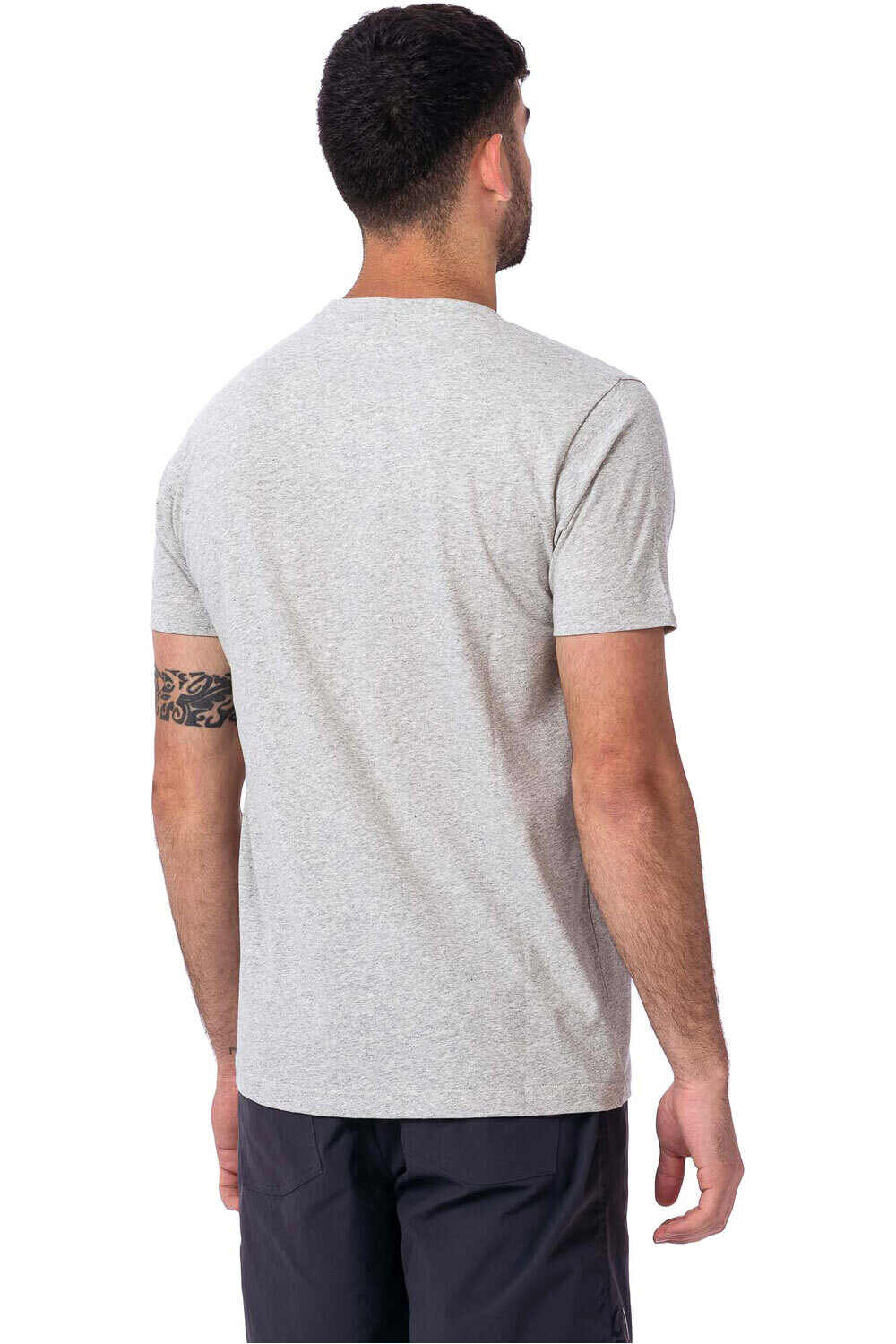 Ternua camiseta montaña manga corta hombre AILIK GRIS vista trasera