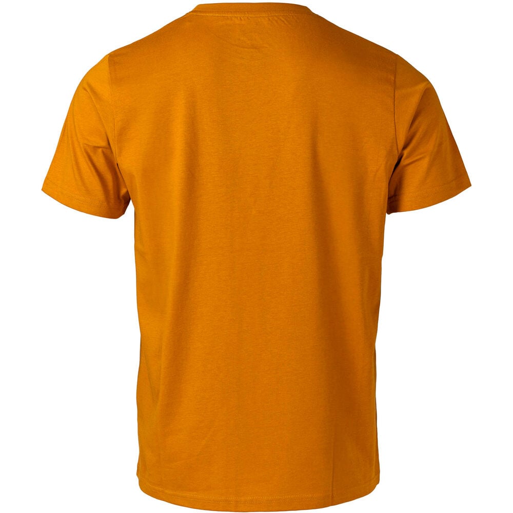 Ternua camiseta montaña manga corta hombre AYRE REGENERATIVE MARRON vista trasera