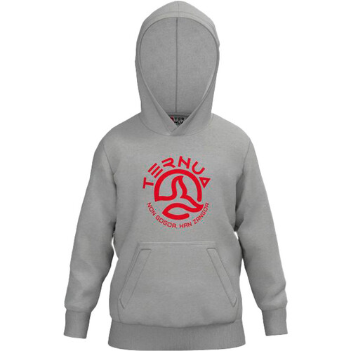 TERNUA BOTWOOD HOODY gris