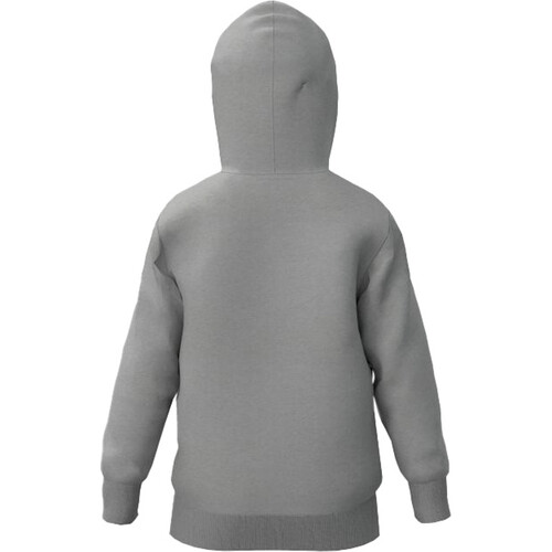 TERNUA BOTWOOD HOODY gris