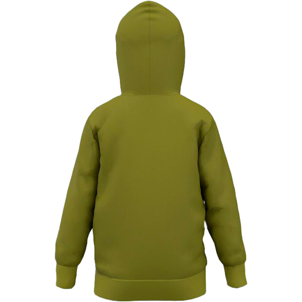 Ternua camiseta montaña manga larga niño LURRA HOODY VERDE vista trasera