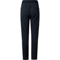 Ternua pantalón montaña mujer FELKIN WARM GRIS vista trasera