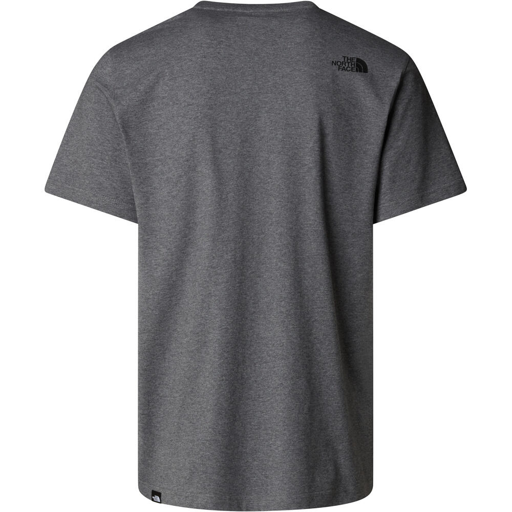 The North Face camiseta manga corta hombre EASY GRIS 03