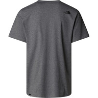 The North Face camiseta manga corta hombre EASY GRIS 03