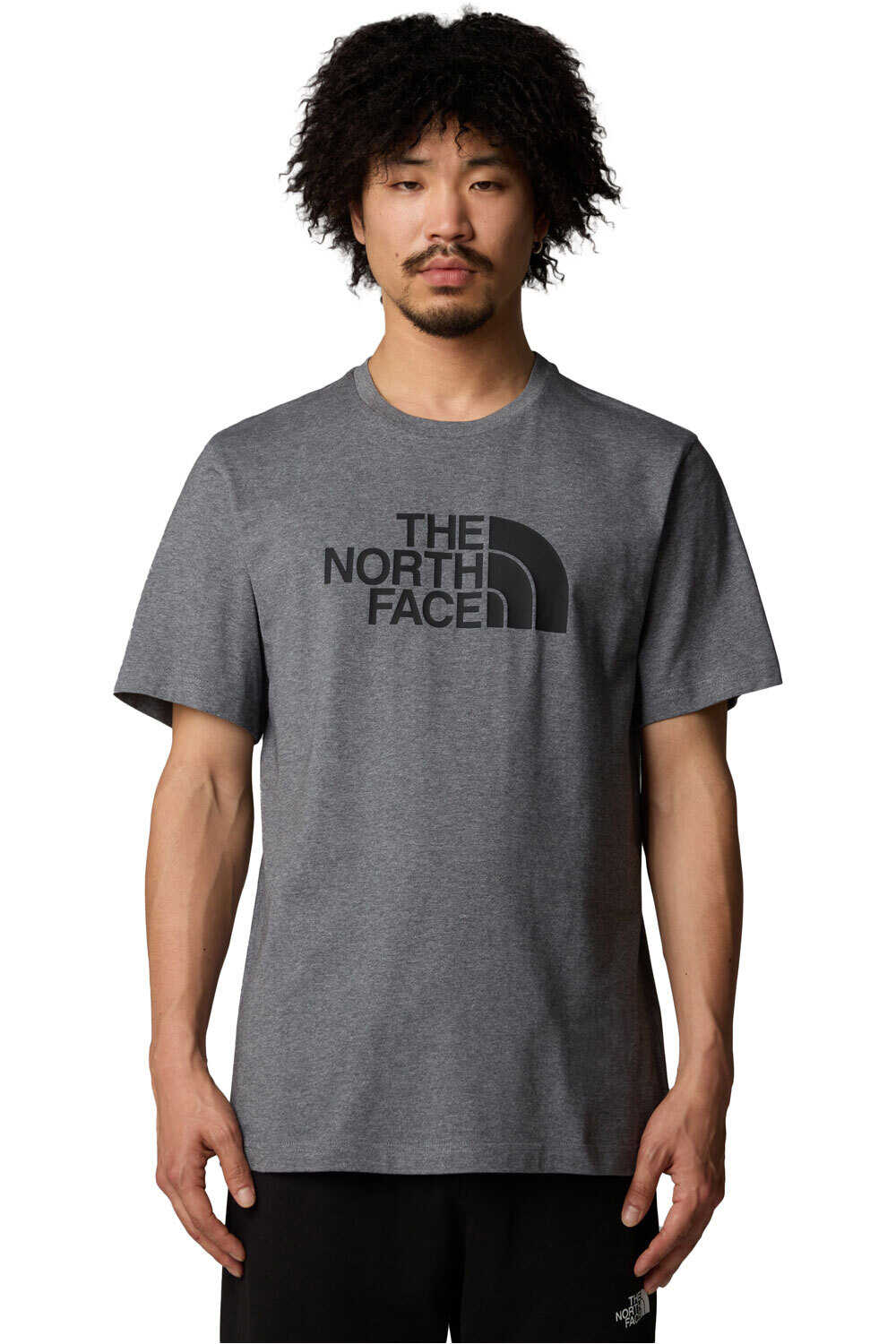 The North Face camiseta manga corta hombre EASY GRIS vista frontal
