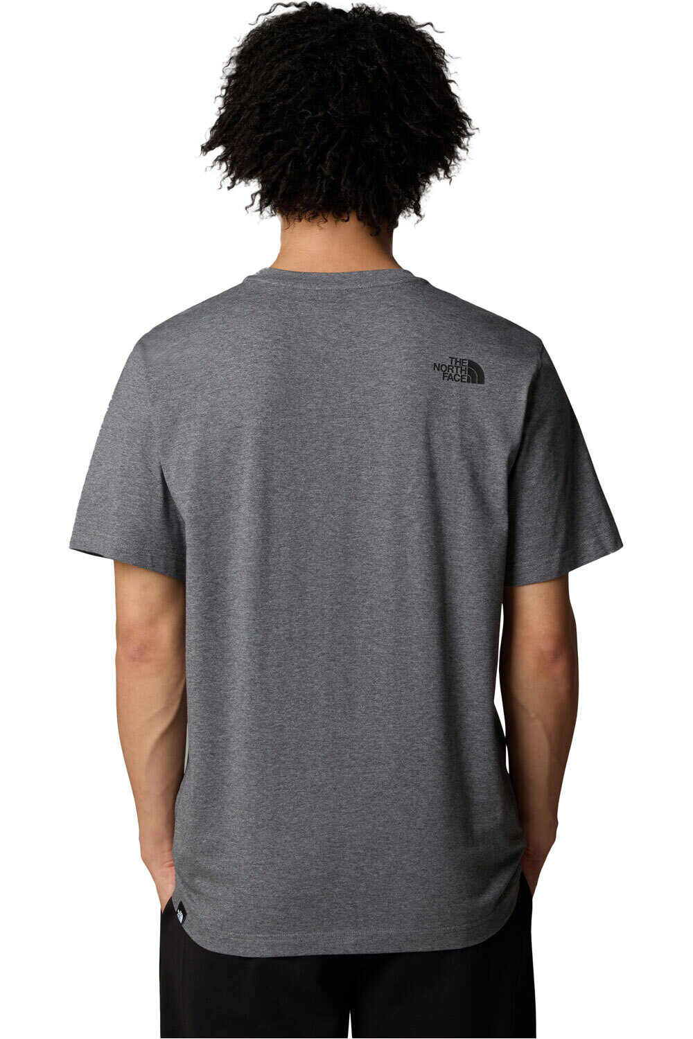 The North Face camiseta manga corta hombre EASY GRIS vista trasera
